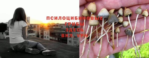 меф Абинск