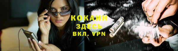 дживик Абаза