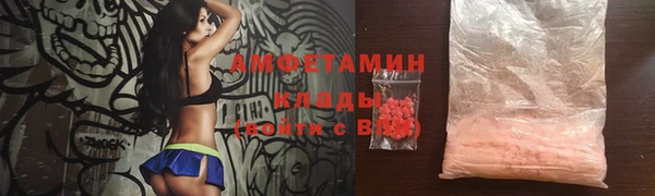 ПСИЛОЦИБИНОВЫЕ ГРИБЫ Няндома