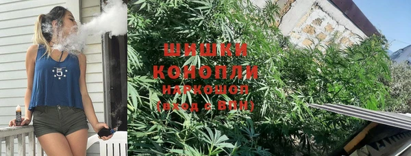 дживик Абаза