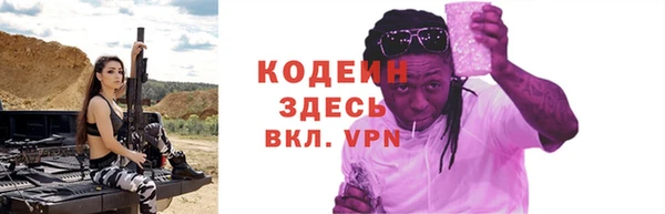дживик Абаза