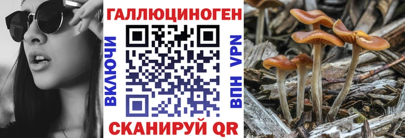 Псилоцибиновые грибы ЛСД  Темников 